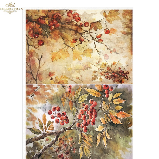 "Fall Watercolor Branches & Berries 2 Pack" decoupage rice paper by ITD Collection. Available at Milton's Daughter. Decorative 2 image paper with autumnal design featuring leaves and berries on a textured background.
