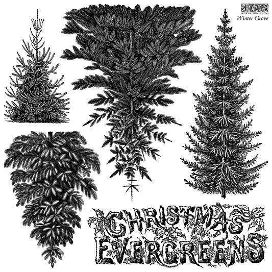 IOD Winter Grove Stamp by Iron Orchid Designs. Vintage-style design of four different Christmas evergreen trees with decorative text reading 'CHRISTMAS EVERGREENS' and 'Winter Grove' in the upper right.