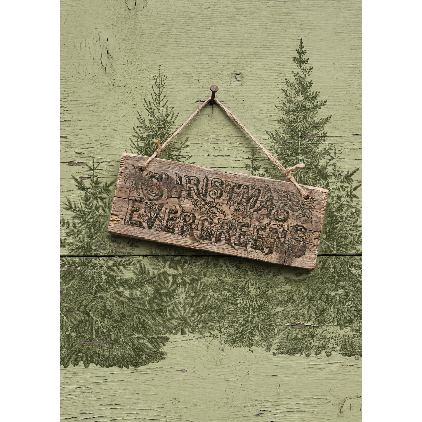 A rustic wooden hanging sign with the words “CHRISTMAS EVERGREENS” engraved on it, suspended by twine against a distressed sage green background with printed evergreen tree illustrations.