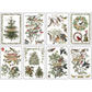 IOD Mini Transfer Winter's Calling. 8 page combo.