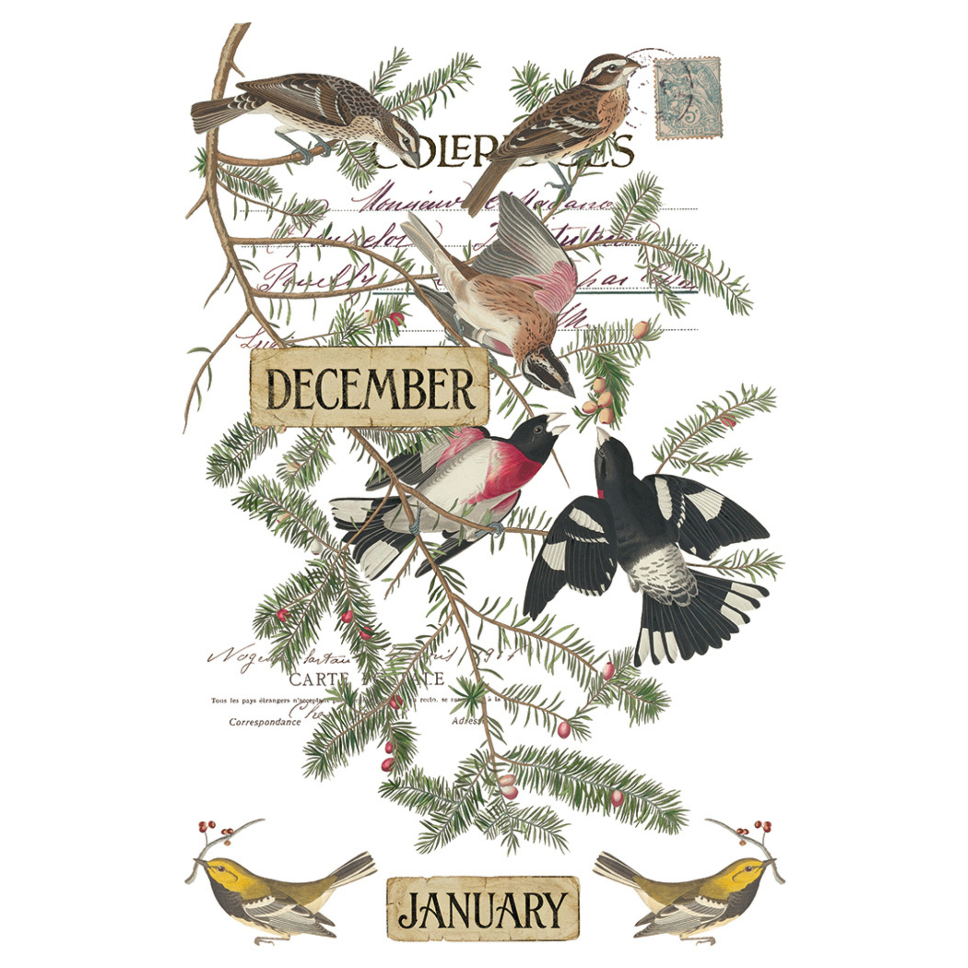IOD Mini Transfer Winter's Calling. pg 8 of 8.