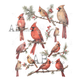 Illustrations of red cardinals on branches with berries and pine needles.