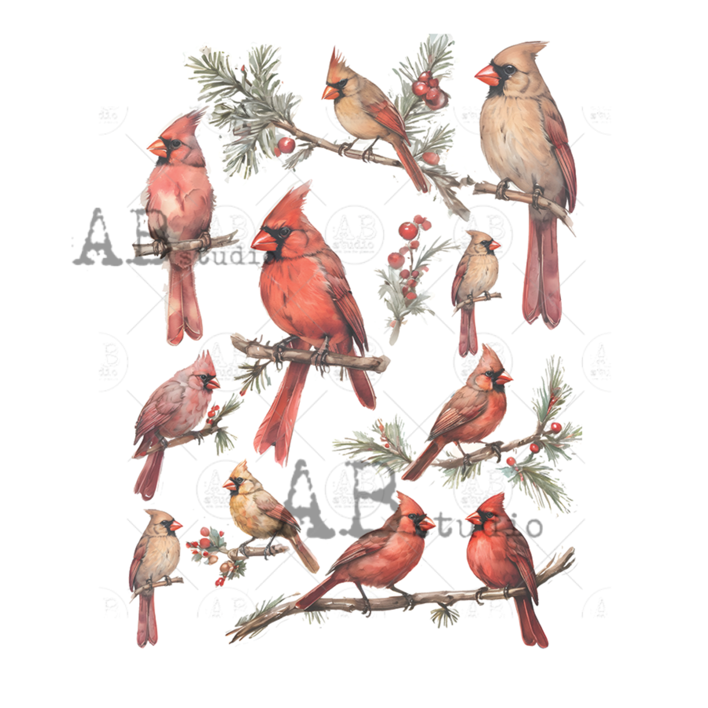 Illustrations of red cardinals on branches with berries and pine needles.