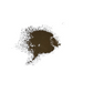 Decrepit Dust