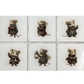 Six illustrations of mice wearing winter clothing in various poses.