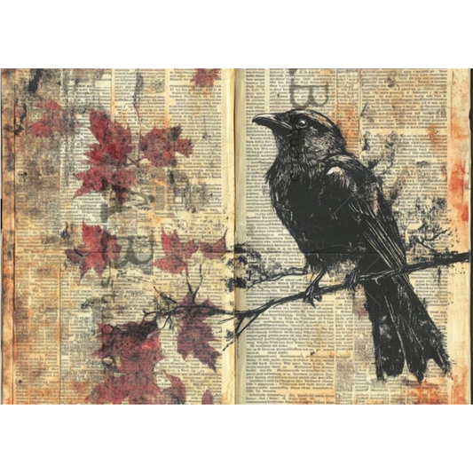 Autumn Crow On Print
