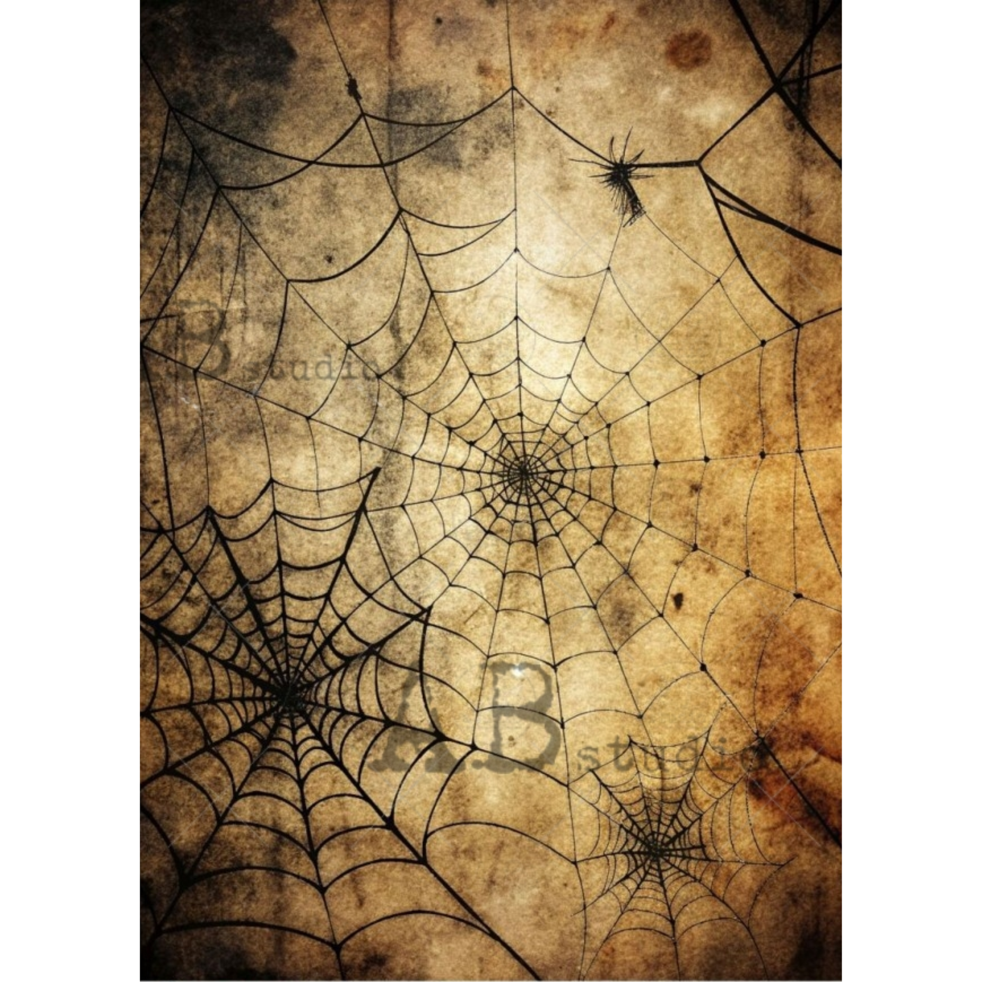 Image featuring a detailed black spiderweb pattern over a distressed, textured brown and beige background.