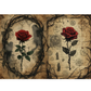 Decorative paper featuring two red roses with green leaves, framed by dark thorny vines on an aged beige parchment-style background with occult and celestial sketches.