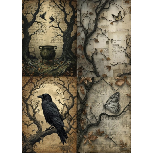 A gothic collage of four panels: a cauldron in a dark forest, a raven perched on a branch, butterflies, and aged book pages with leaves and branches.