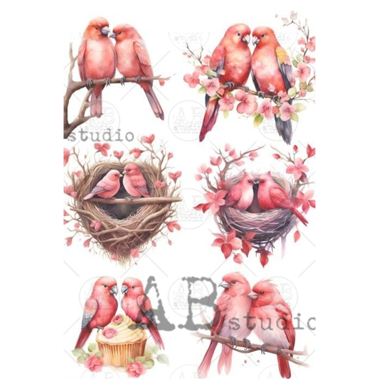 Collage of pink birds, nests, and flowers.