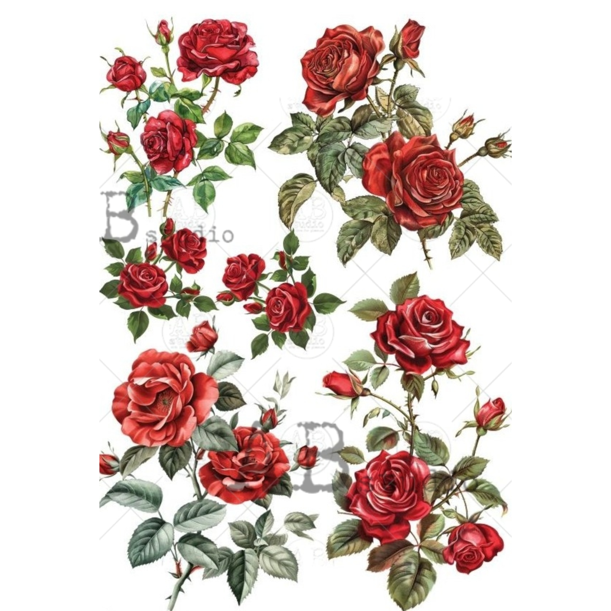 Red roses with green leaves arranged in bundles.