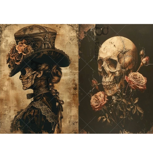 Two artistic illustrations of skeletons with floral elements on a textured background.