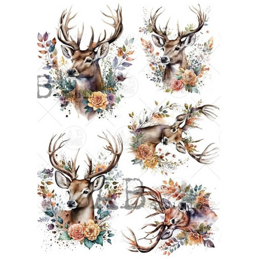 Set of five deer illustrations with floral elements.