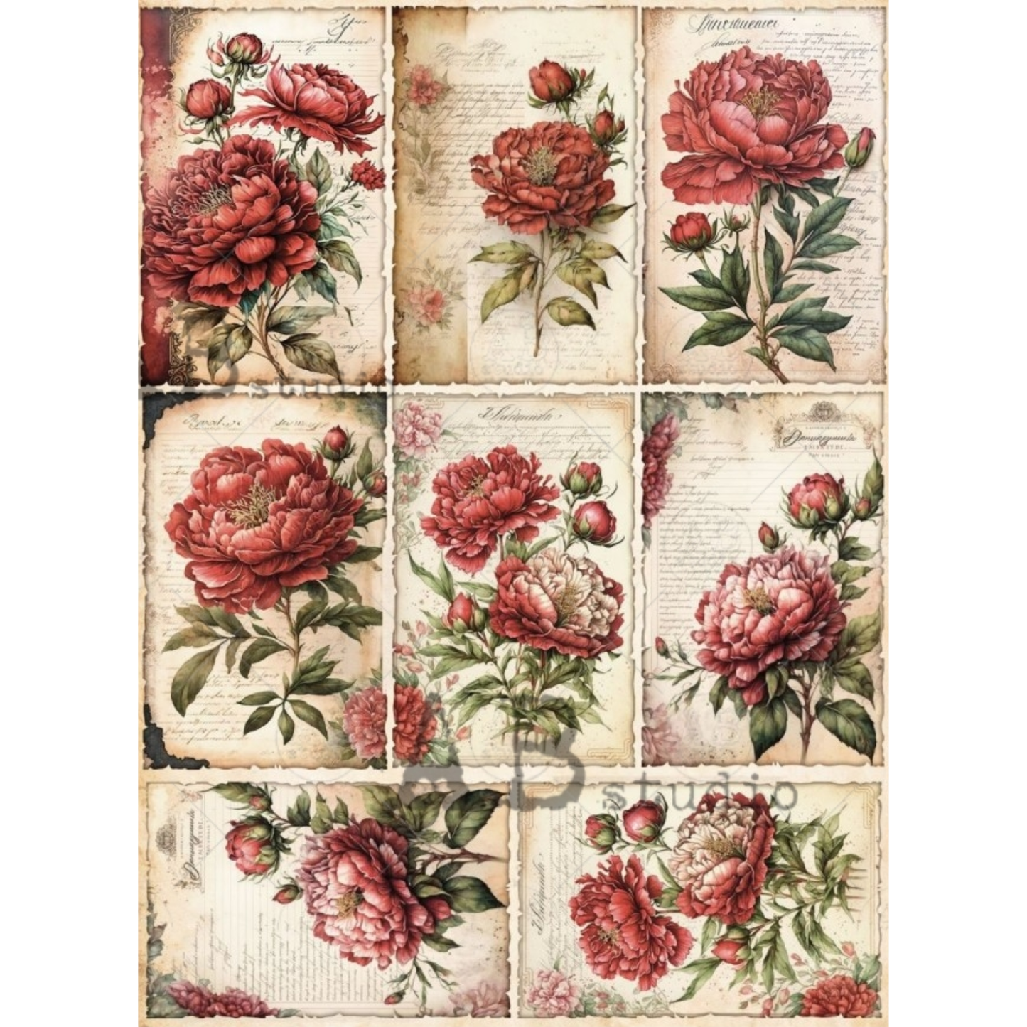 Vintage-style floral design with red and pink peonies on a textured background