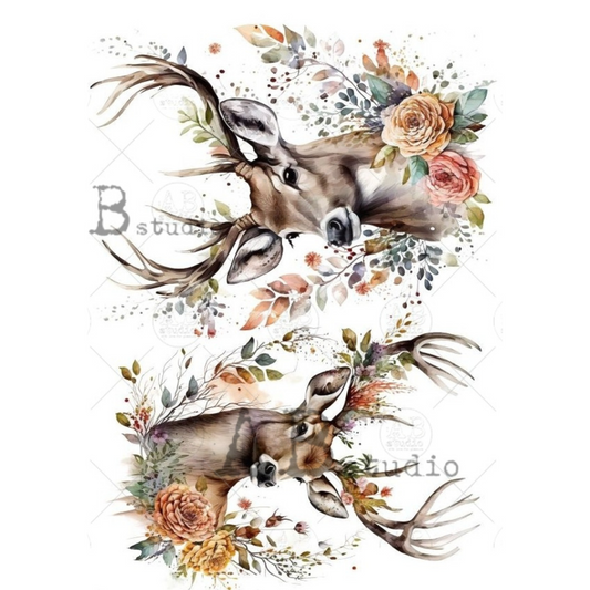 Two deer heads with antlers surrounded by flowers and leaves.
