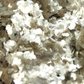 Close-up of a textured beige metallic surface with small mica particles