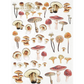 "Mushrooms" decoupage rice paper by ITD Collection. Available at Milton's Daughter.