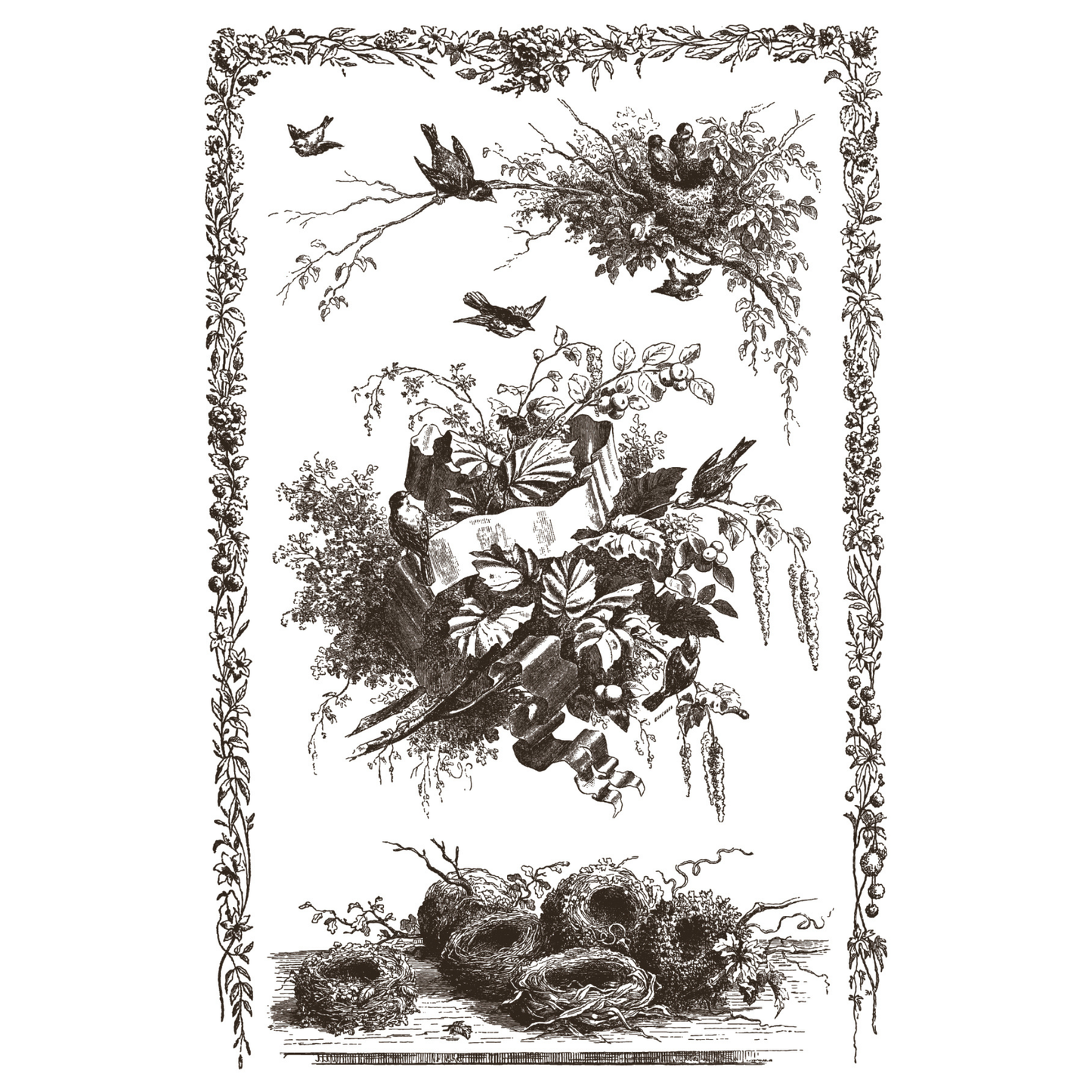 Vintage-style illustration of birds and nests with decorative border