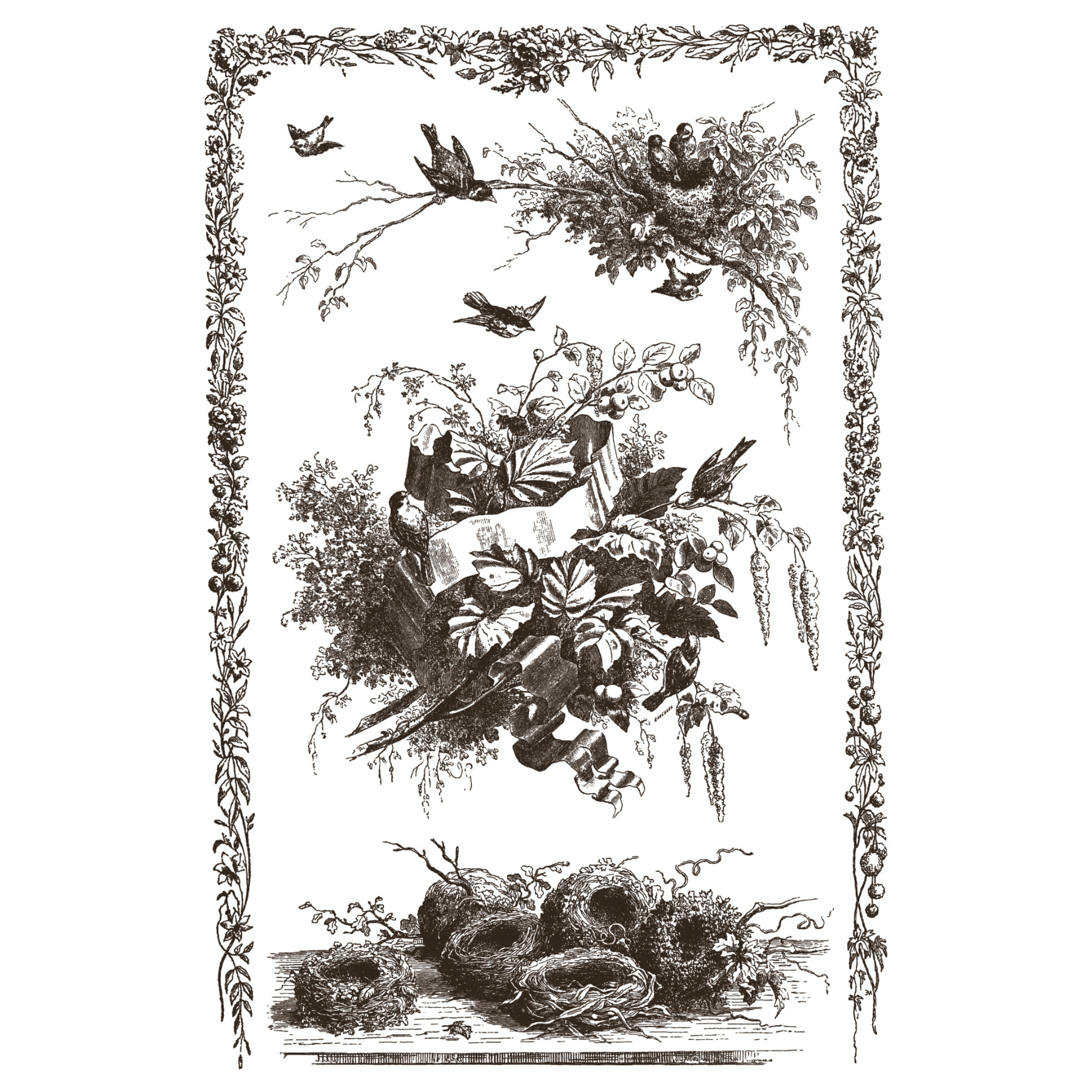 Vintage-style illustration of birds and nests with decorative border