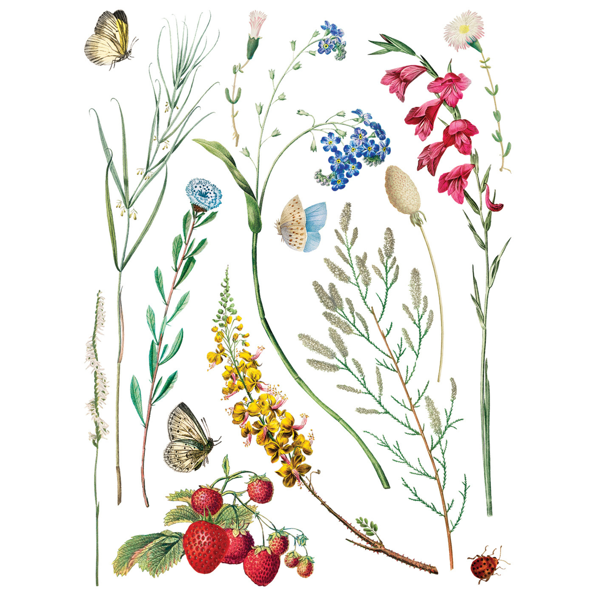 Marché Des Fleurs IOD Transfer by Iron Orchid Designs. Pg 1