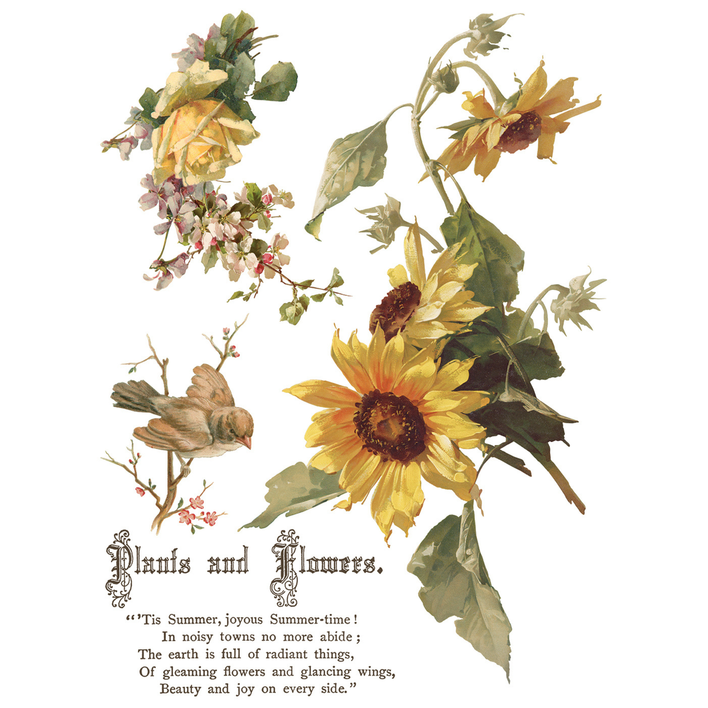 Flowers By The Poets IOD Transfer by Iron Orchid Designs. Pg 1