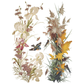 Flowers By The Poets IOD Transfer by Iron Orchid Designs. Pg 2