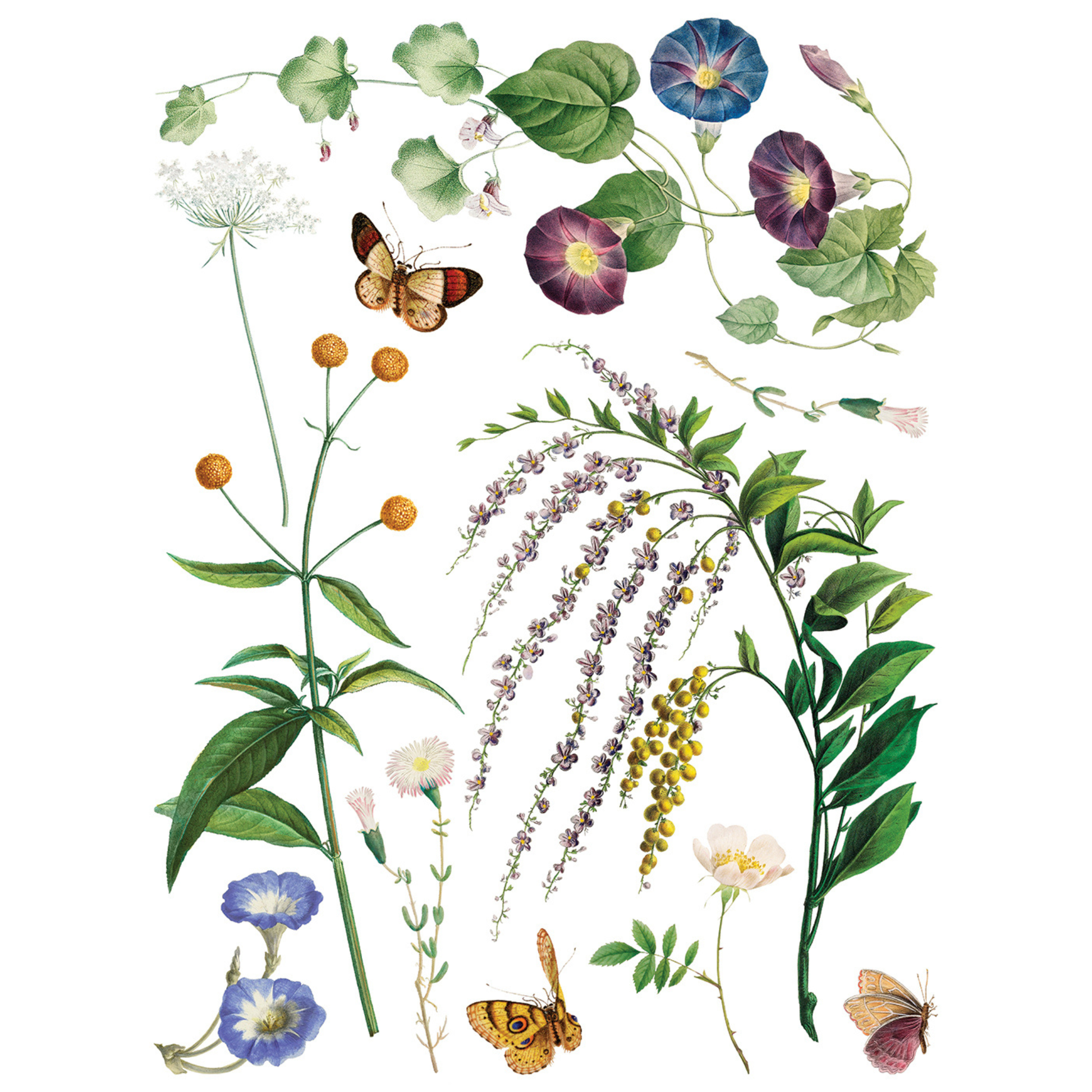 Marché Des Fleurs IOD Transfer by Iron Orchid Designs. Pg 2