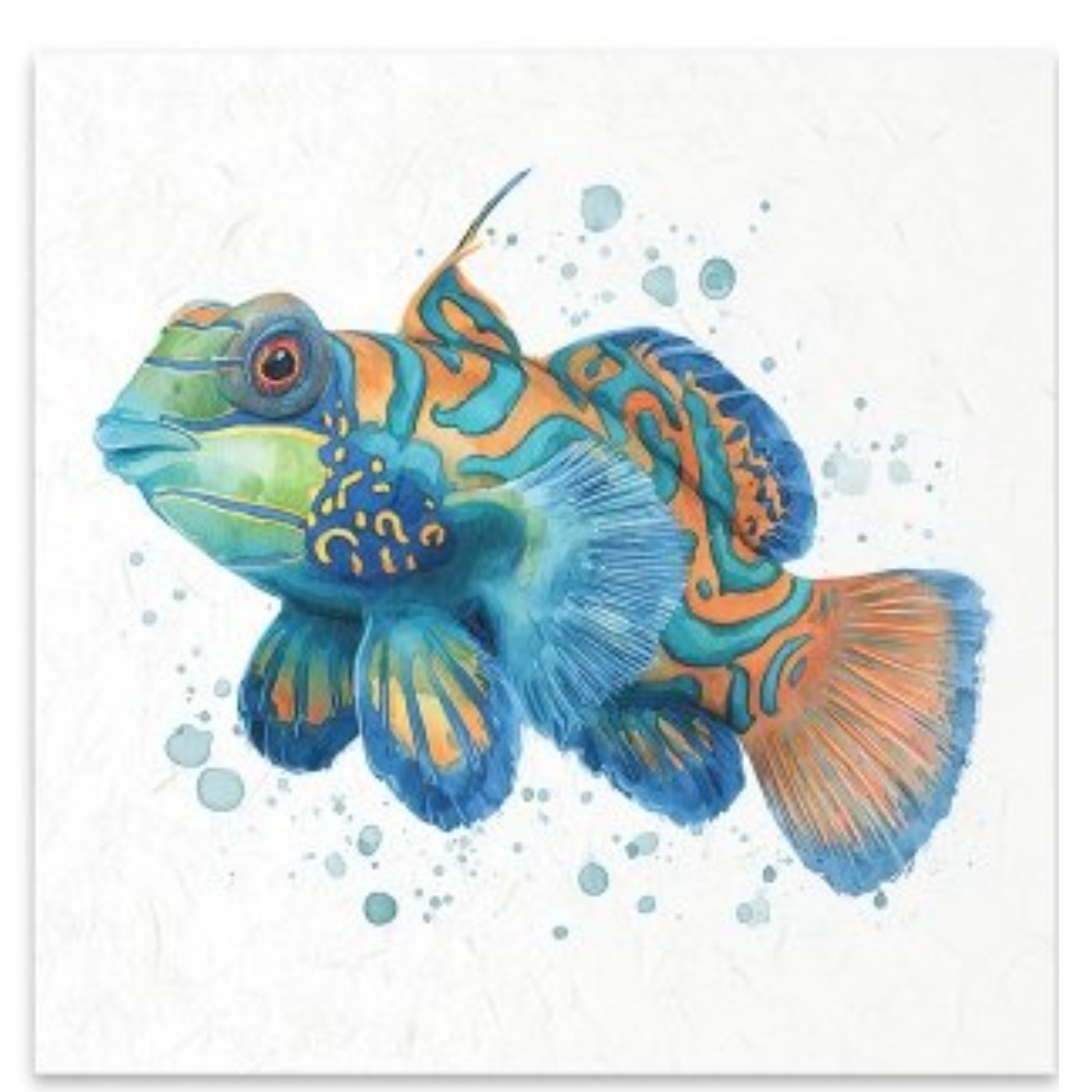 A watercolor-style painting of a colorful fish on a white textured background. The fish features bright blue, teal, green, and orange tones with blue and orange paint splatters around it.
