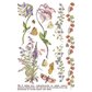 Primrose Isle IOD Transfer by Iron Orchid Designs. Pg 3