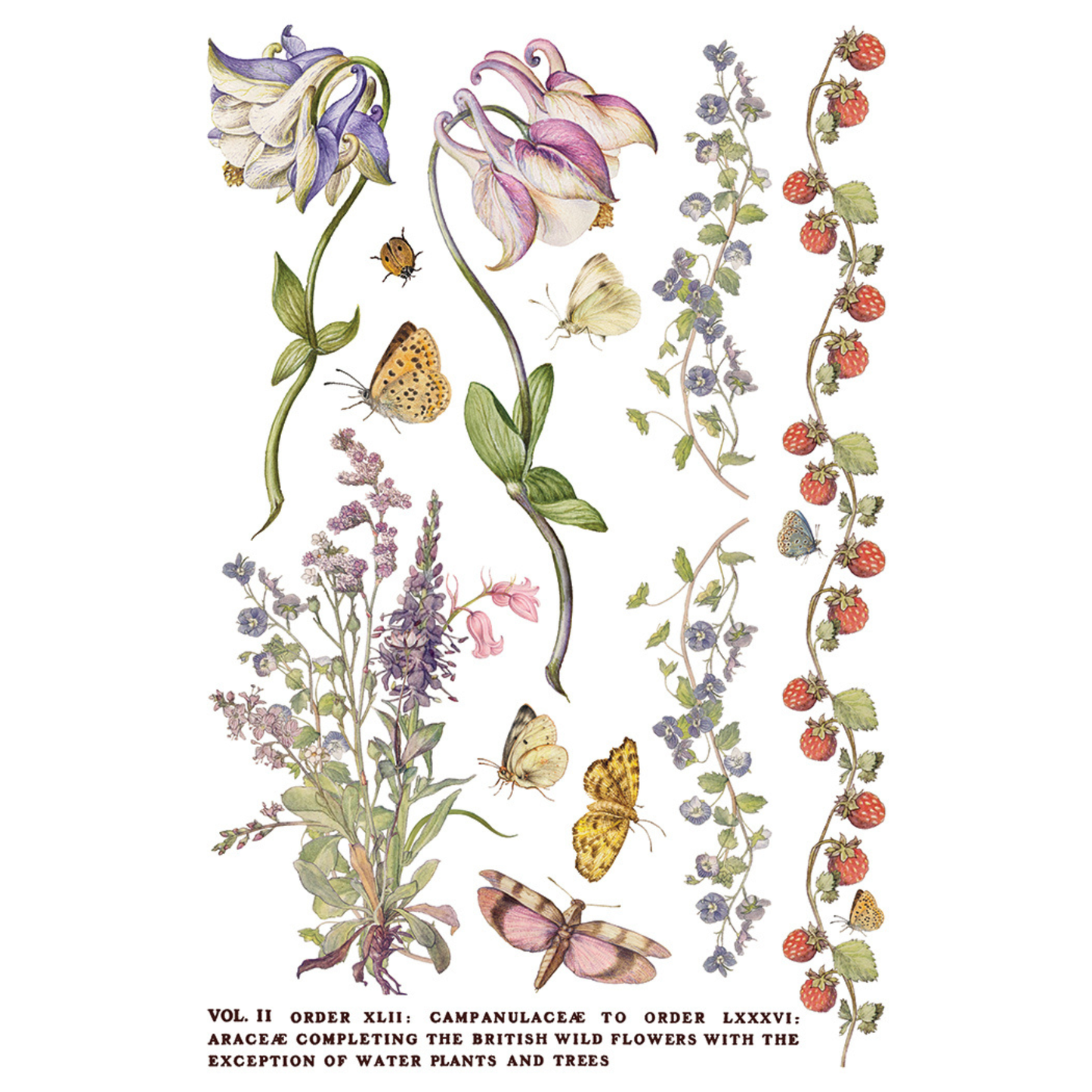 Primrose Isle IOD Transfer by Iron Orchid Designs. Pg 3