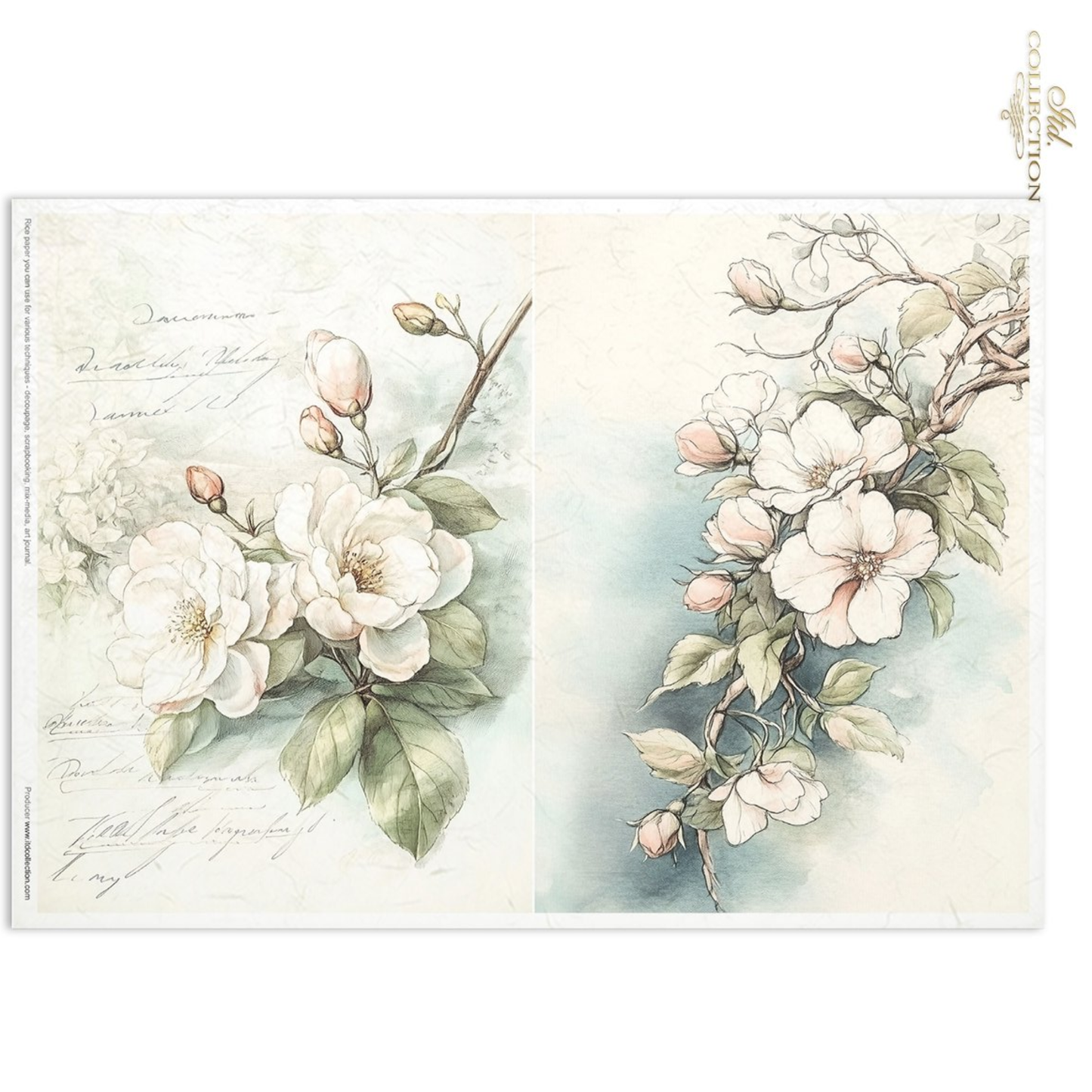 A vintage-style botanical art print featuring delicate white blossoms and green leaves on a soft cream background with faint handwritten script. The print is shown against a plain white background.