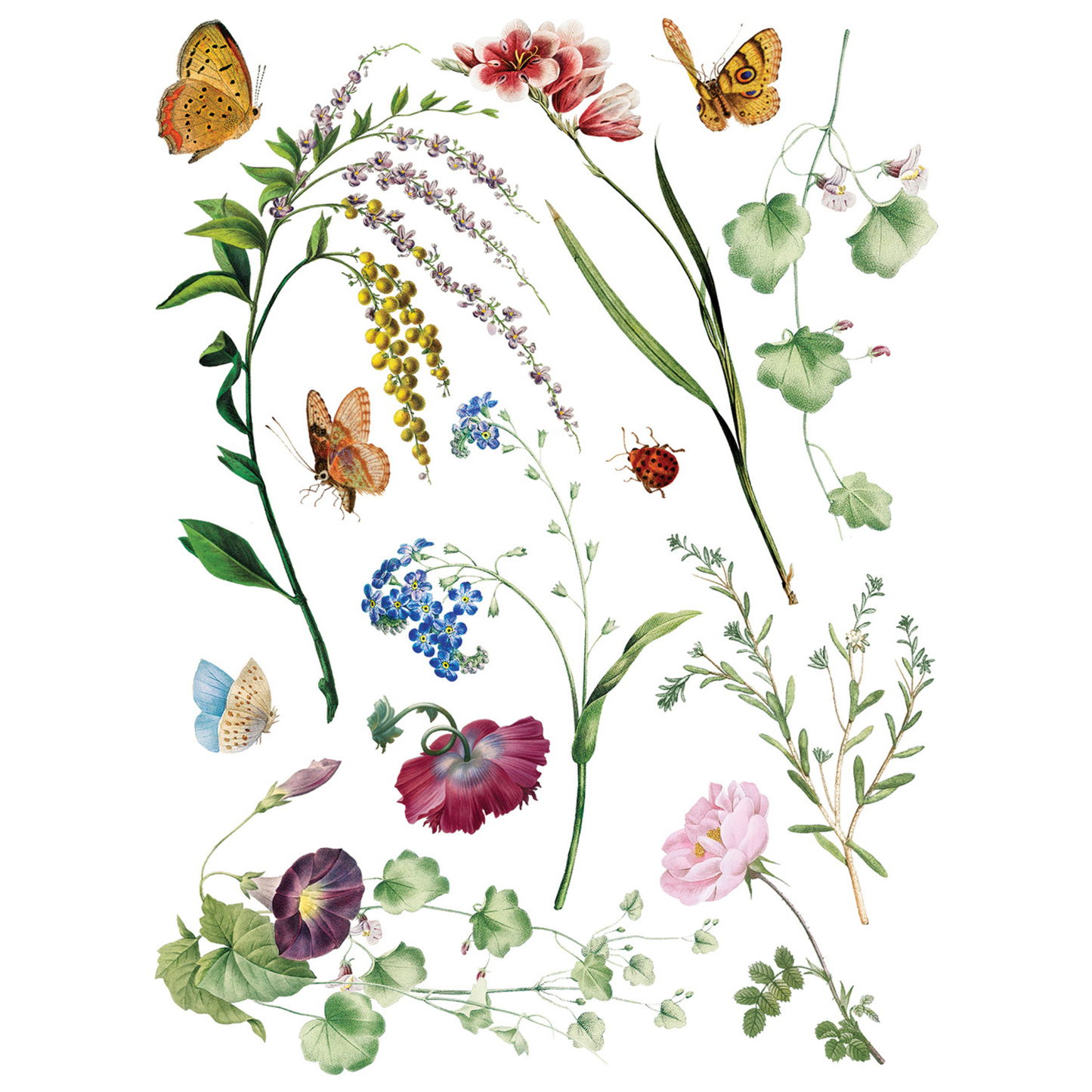 Marché Des Fleurs IOD Transfer by Iron Orchid Designs. Pg 3