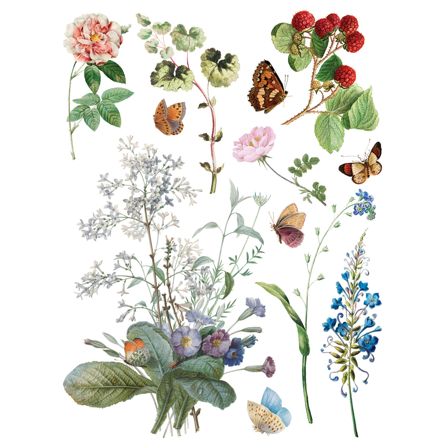 Marché Des Fleurs IOD Transfer by Iron Orchid Designs. Pg 4