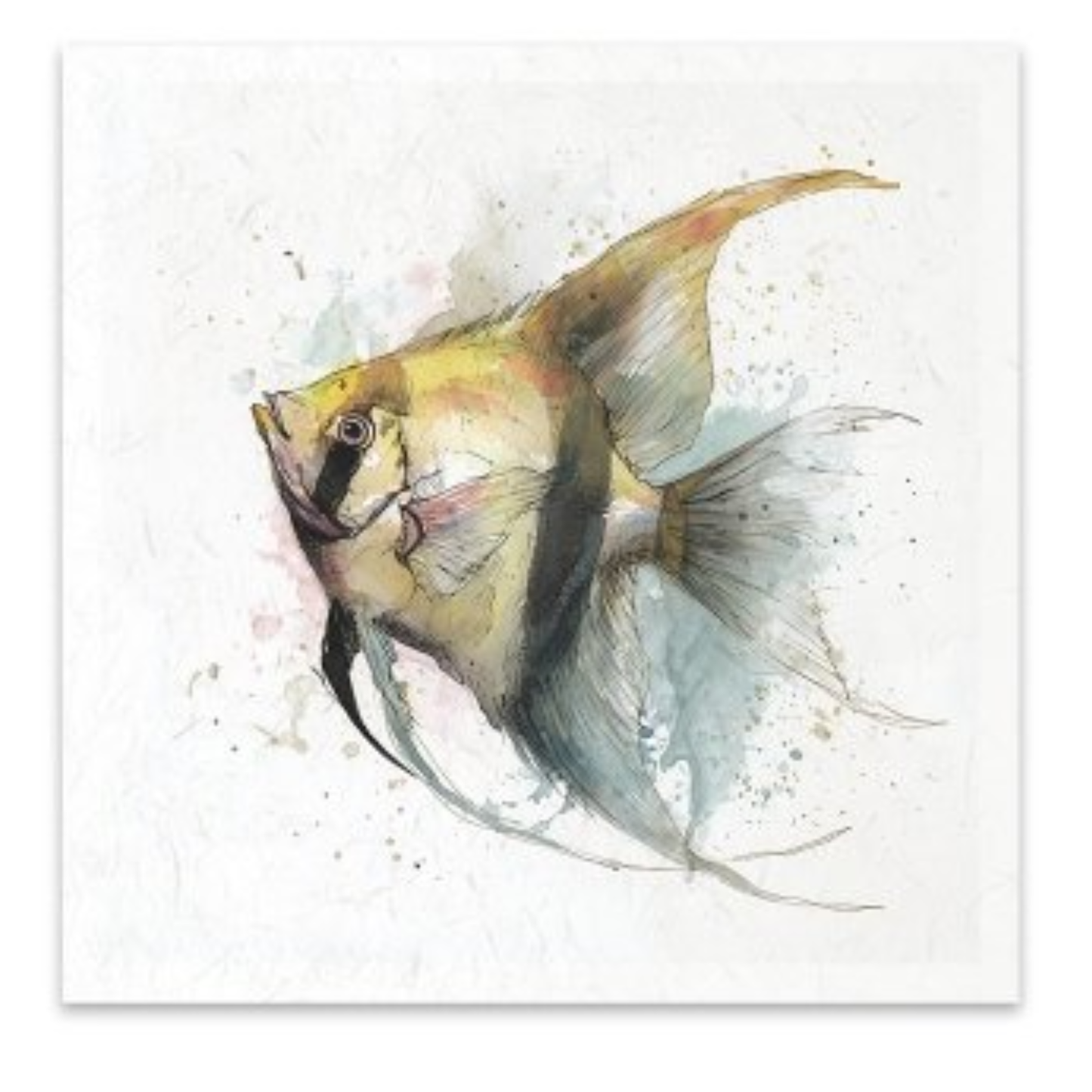 Watercolor painting of an angelfish with yellow, black, and blue-gray tones on a textured white background.