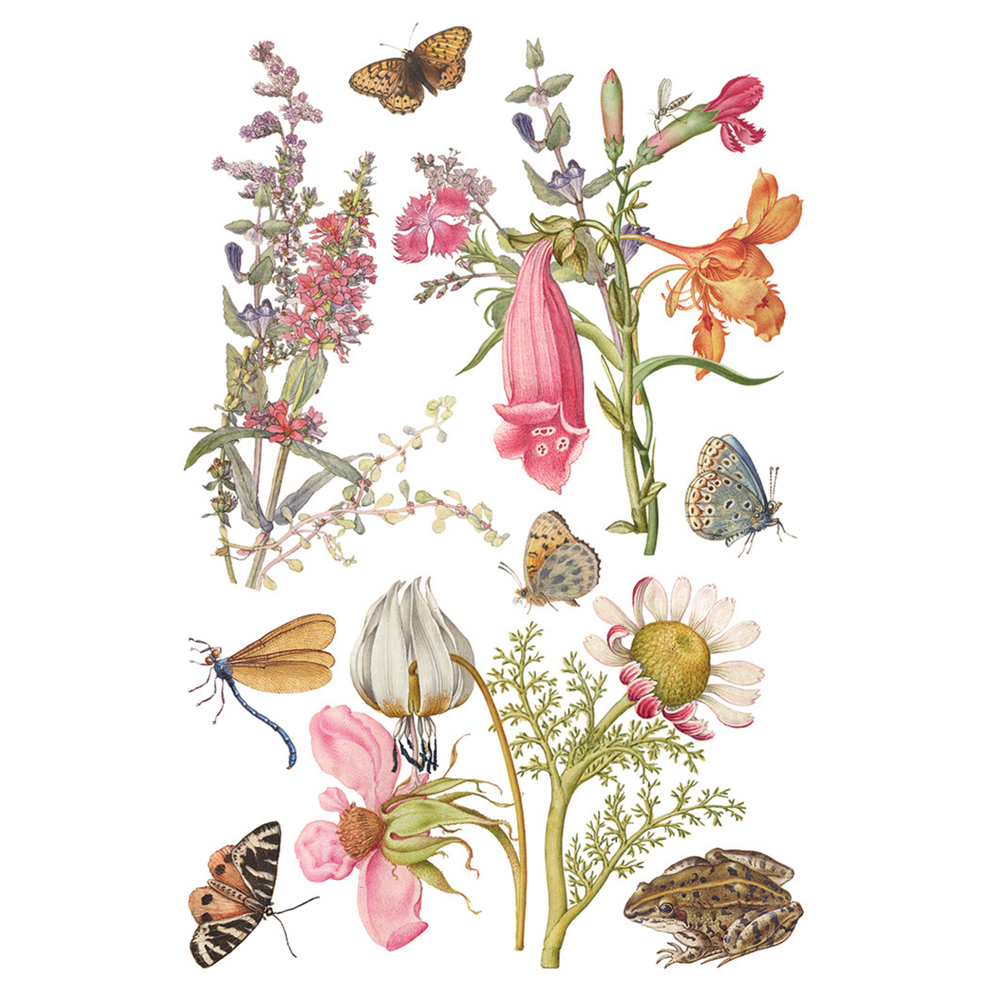Primrose Isle IOD Transfer by Iron Orchid Designs. Pg 4