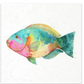 A colorful watercolor painting of a fish on a textured white background.