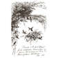Decorative illustration of birds and foliage with cursive text at the bottom on a white background
