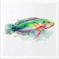 A colorful watercolor painting of a fish on a textured off-white background, framed by a thin dark border.