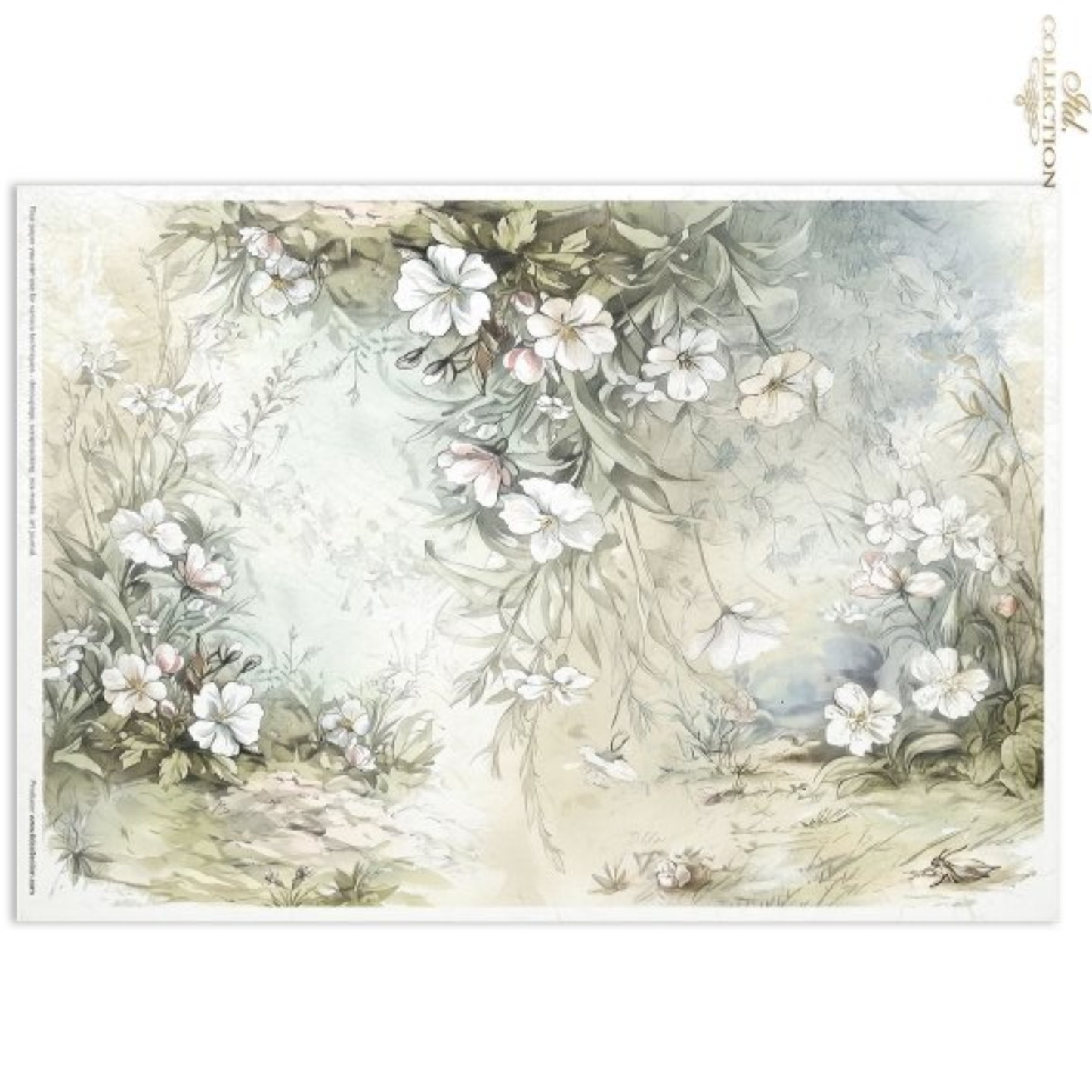 Image features a soft watercolor garden scene with white flowers, green leaves, and a pale blue misty background, shown against a white background.