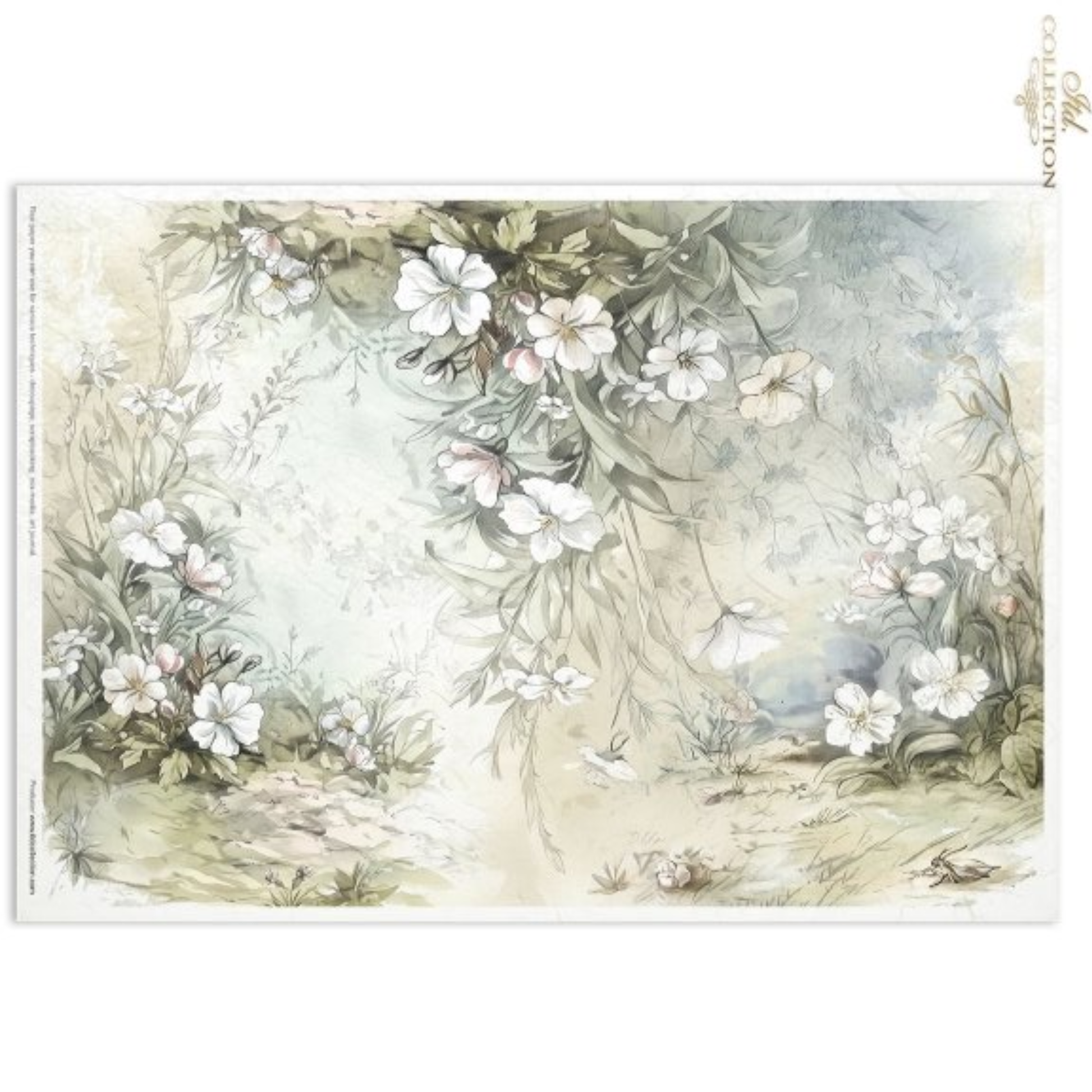 Image features a soft watercolor garden scene with white flowers, green leaves, and a pale blue misty background, shown against a white background.