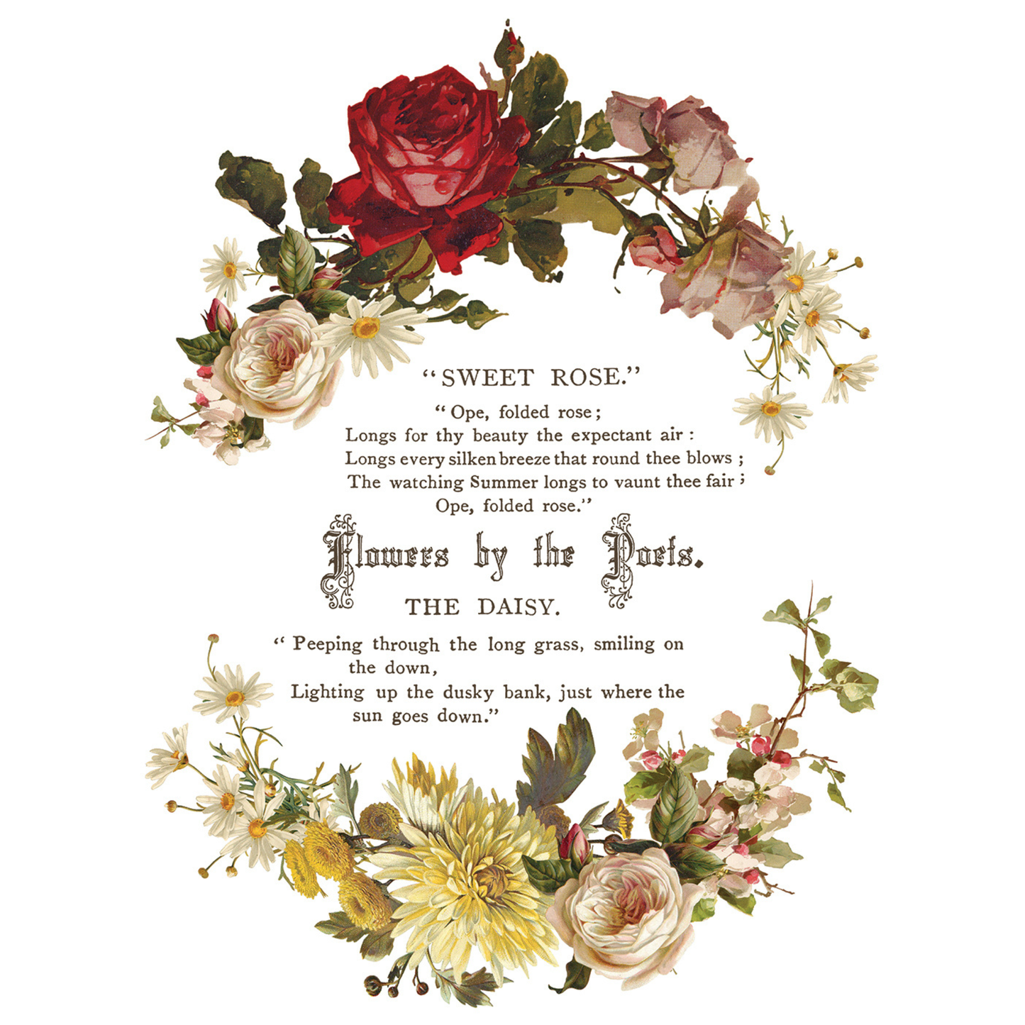 Flowers By The Poets IOD Transfer by Iron Orchid Designs. Pg 5