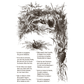Decorative illustration with birds and nests surrounded by foliage, featuring text on a white background.
