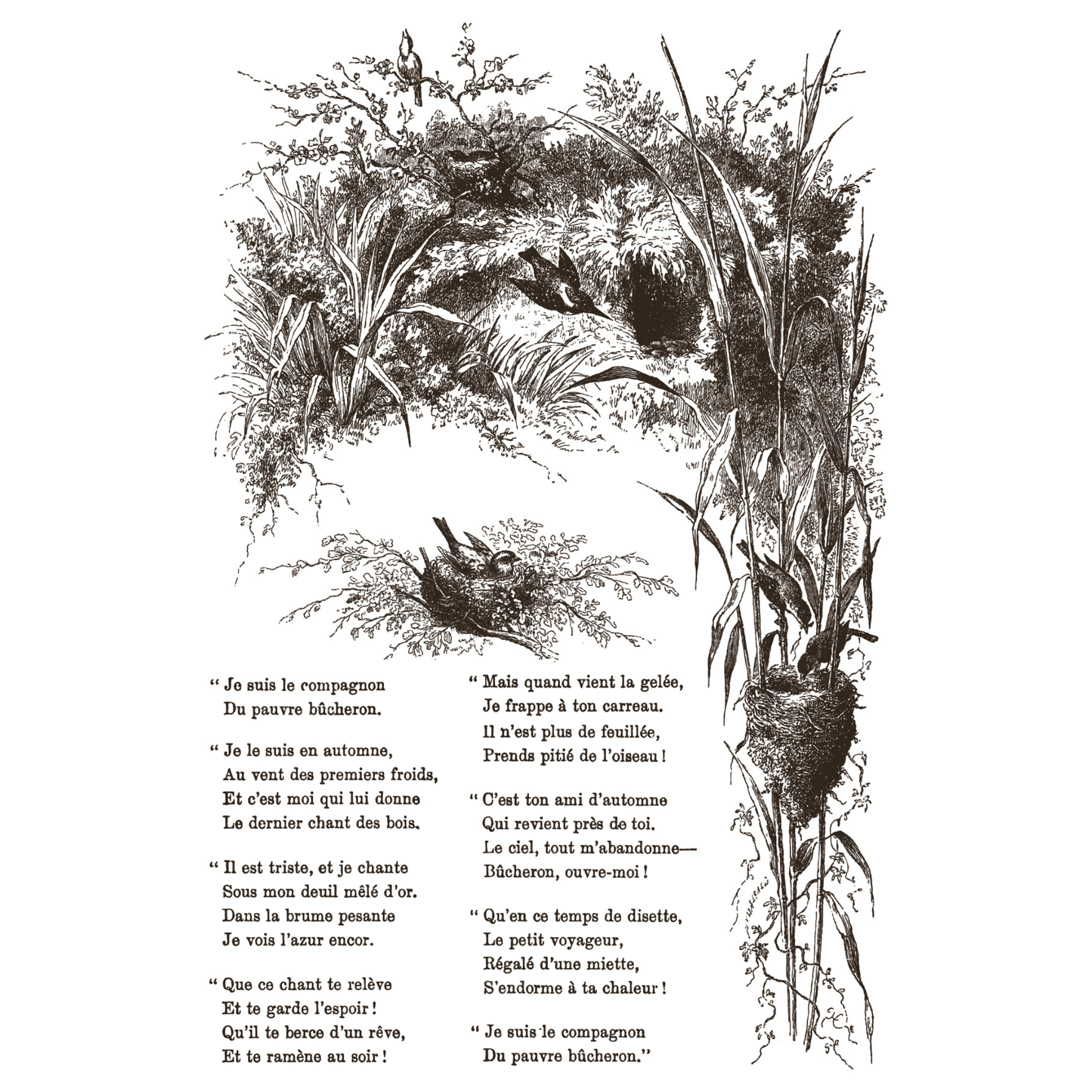 Decorative illustration with birds and nests surrounded by foliage, featuring text on a white background.