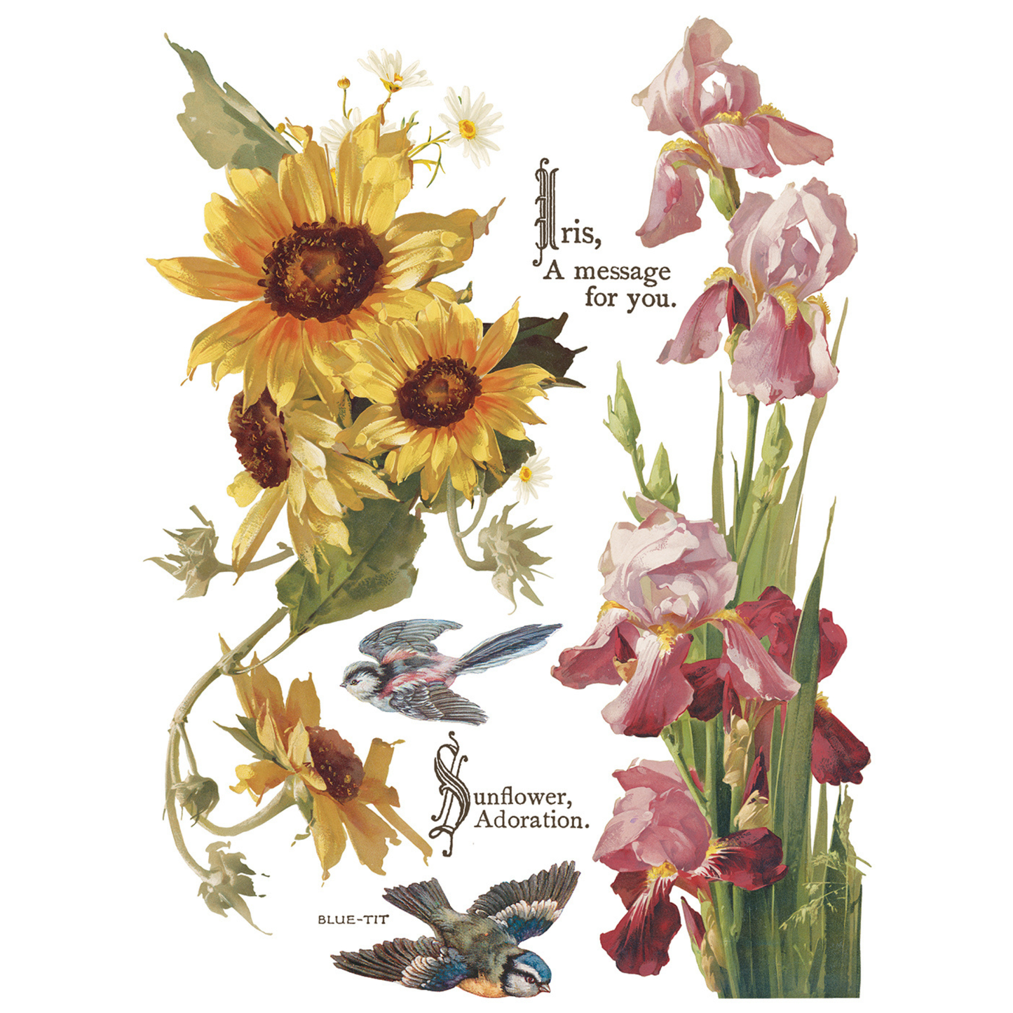 Flowers By The Poets IOD Transfer by Iron Orchid Designs. Pg 6