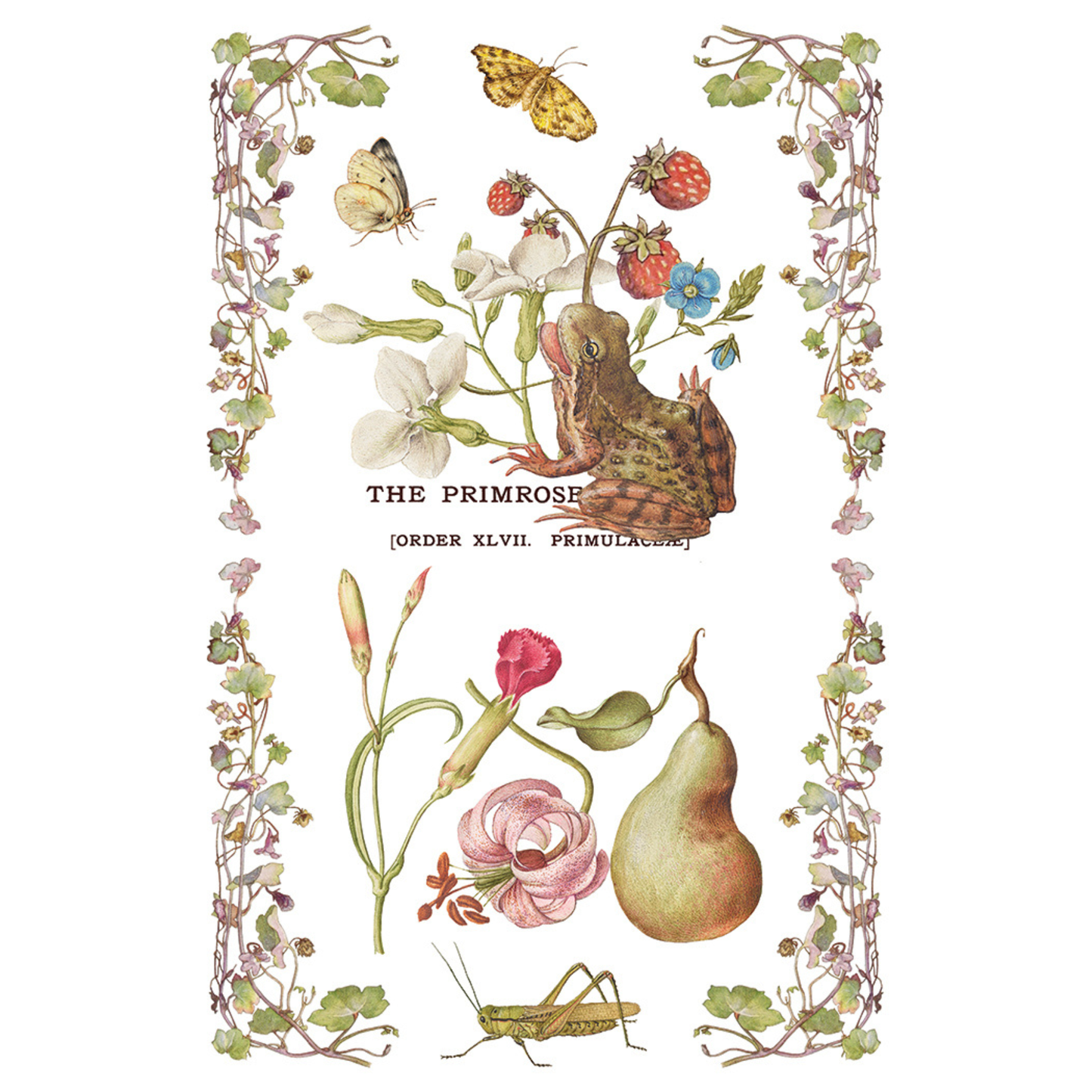 Primrose Isle IOD Transfer by Iron Orchid Designs. Pg 6