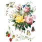 Marché Des Fleurs IOD Transfer by Iron Orchid Designs. Pg 7