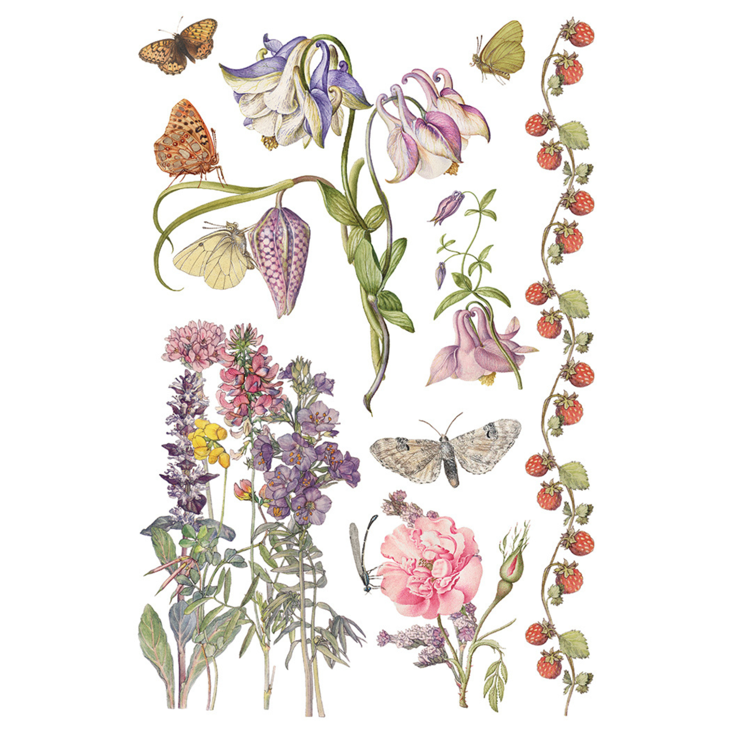 Primrose Isle IOD Transfer by Iron Orchid Designs. Pg 7