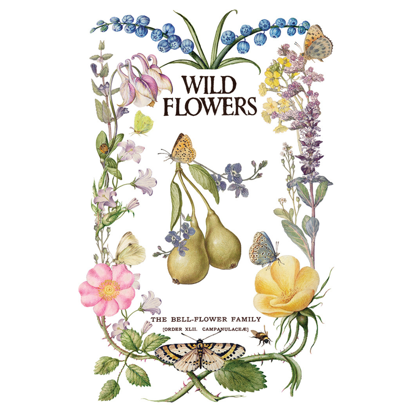 Primrose Isle IOD Transfer by Iron Orchid Designs. Pg 8