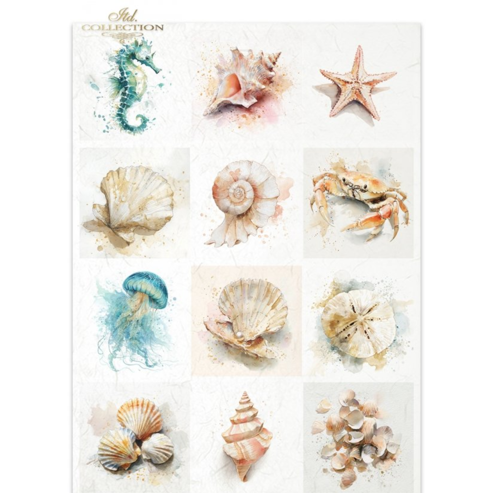 Decorative paper featuring 12 watercolor-style sea life illustrations, including a seahorse, starfish, shells, crab, jellyfish, sand dollar, and clam shells, arranged in a grid on a white background.