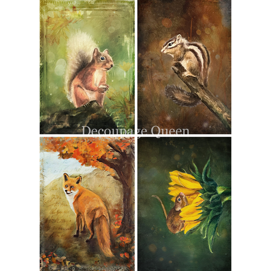 "Woodland Creatures 4 Pack" decoupage rice paper by Decoupage Queen. Available at Milton's Daughter. Four animal-themed paintings featuring a squirrel, chipmunk, fox, and mouse with a sunflower.